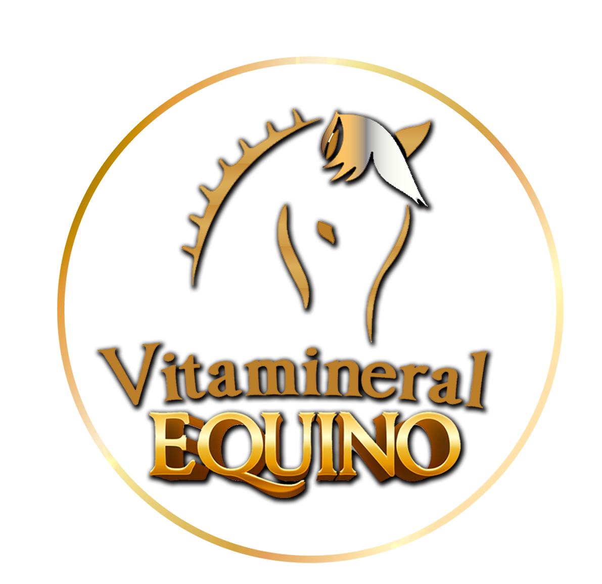 Vitamineral Equino